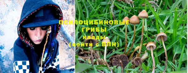кокс Калининец