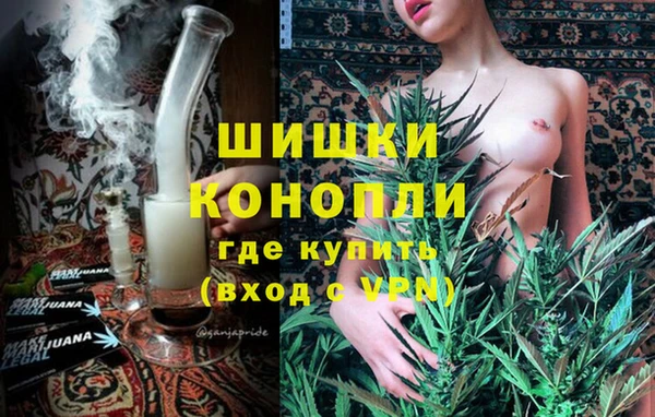 ГАЛЛЮЦИНОГЕННЫЕ ГРИБЫ Гусь-Хрустальный