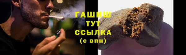 ГАЛЛЮЦИНОГЕННЫЕ ГРИБЫ Гусь-Хрустальный