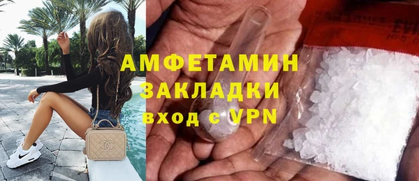 ГАЛЛЮЦИНОГЕННЫЕ ГРИБЫ Гусь-Хрустальный