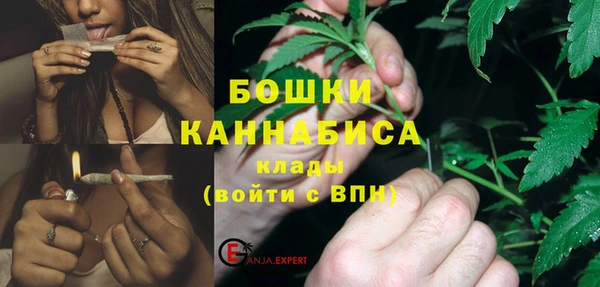 ГАЛЛЮЦИНОГЕННЫЕ ГРИБЫ Гусь-Хрустальный