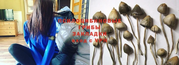 PSILOCYBIN Гусев