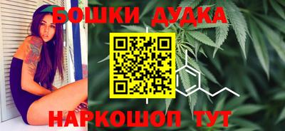 тгк Дубна