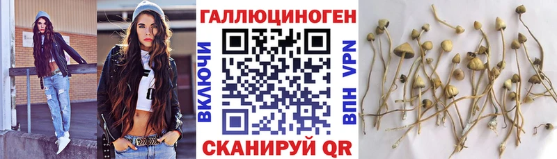 ссылка на мегу сайт  Беслан  Галлюциногенные грибы прущие грибы 