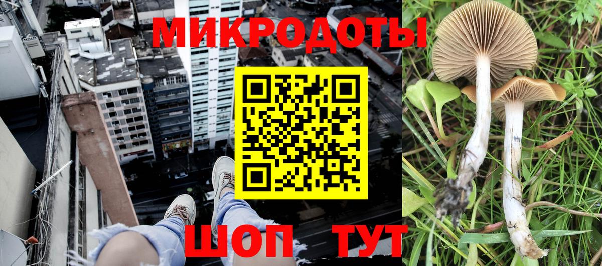 купить наркотики сайты  Галлюциногенные грибы Psilocybine cubensis  Беслан  Вход с VPN  Галлюциногенные грибы мицелий 
