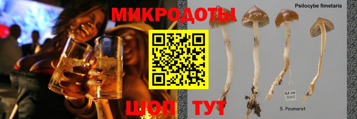 Псилоцибиновые грибы прущие грибы  Беслан 